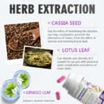 [60 Caps] Cassia Seed & Lotus Weight Loss Pills - Natural Fat Burner for Women - Image 2