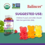 Organics Immunity Gummies for Kids,with Vitamin C,Zinc - Image 6