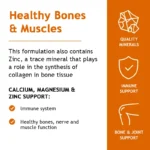 Calcium Magnesium Zinc Capsule Vitamin/Mineral Mixed Supplement - Gluten Free - Image 6