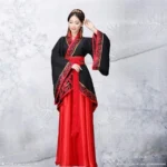 Long Sleeves Hanfu Long Dress Patchwork Ancient Style Chinese Traditional Costumes - Image 5