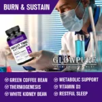 Slimming Capsule Night Time Fat Burner for Weight Loss, Boost Metabolism, Suppress Appetite Diet - Image 6