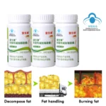 Best fat burner Fast Loss Weight pills, Powerful Burn Fat Detoxify Clean Colon Slimming capsule - Image 5